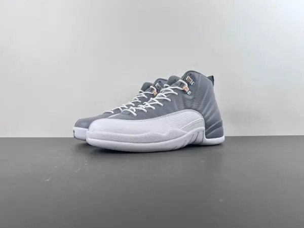 Air Jordan 12 STEALTH CT8013-015
