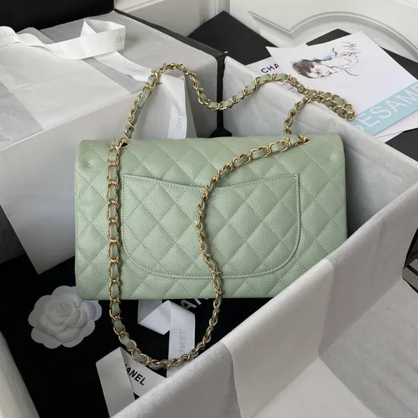 CH*ELClassic Flap Bag A01113, Top Quality,  Medium Size: 23cm