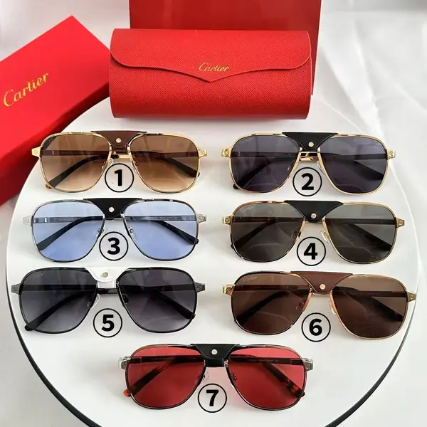 Cartier sunglasses