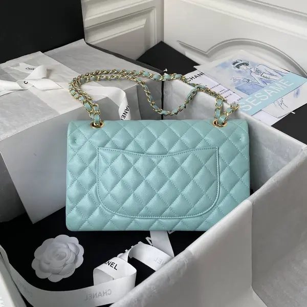 CH*ELClassic Flap Bag A01113, Top Quality, Medium Size: 23cm