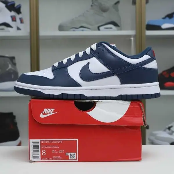 Nike Dunk Low Retro "Valerian Blue"