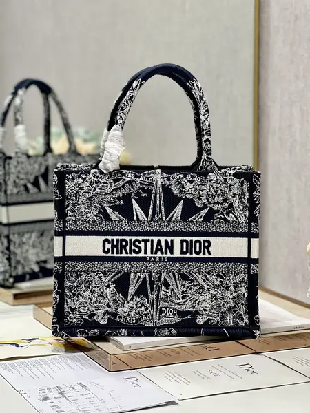 Small Dior Book Tote