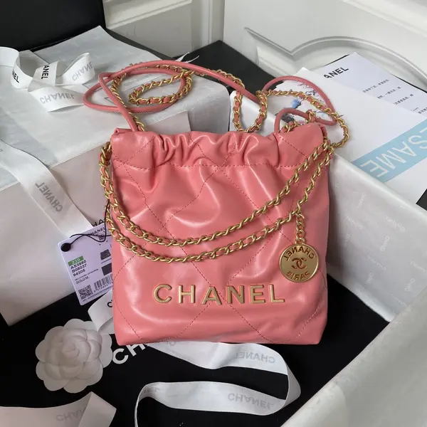Chanle 22 Backpack Mini
