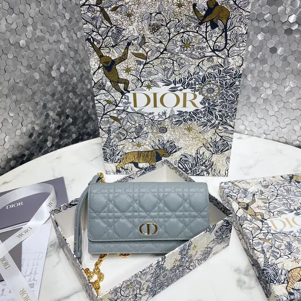 Dior Caro Pouch