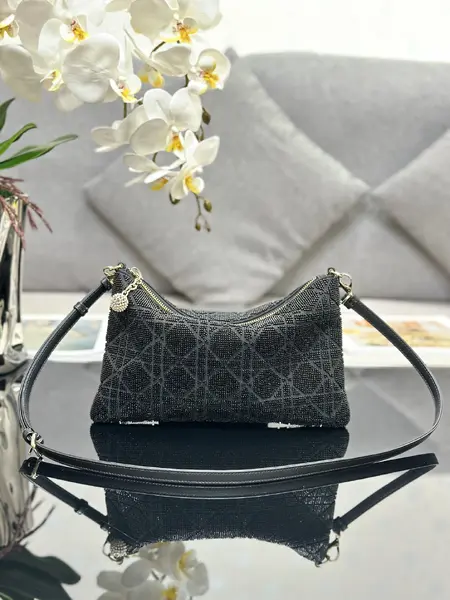 Dior Dream Bag