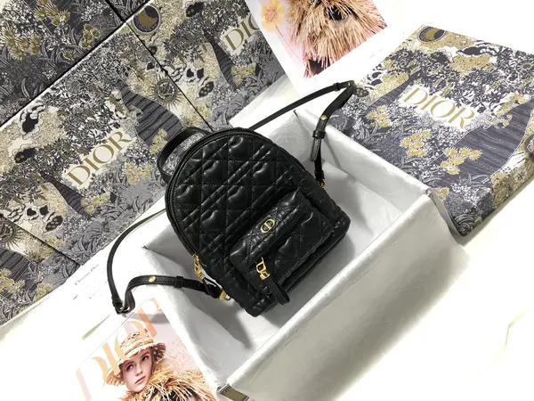 Dior Backpack