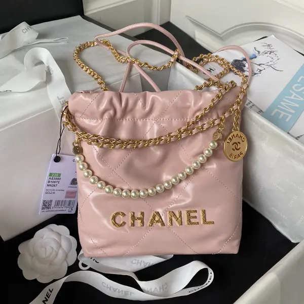 Chanle 22 Backpack Mini
