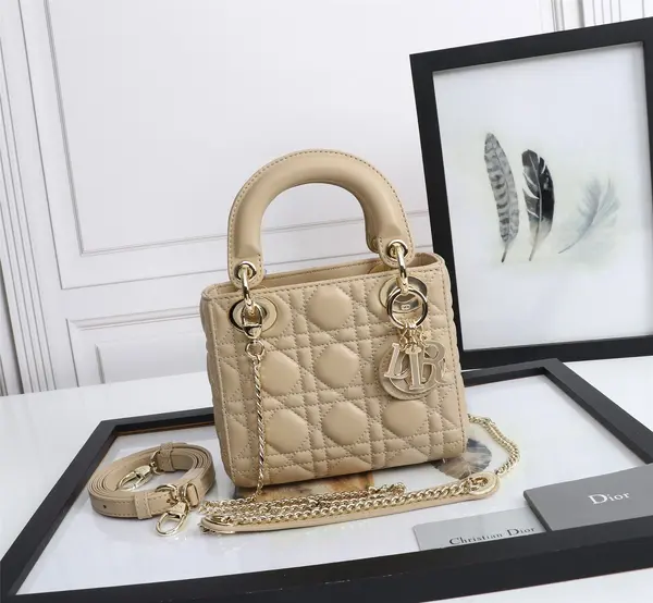 Mini Lady Dior Bag