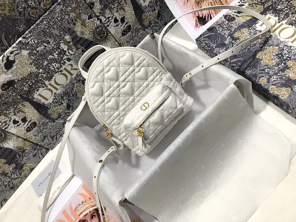Dior Backpack
