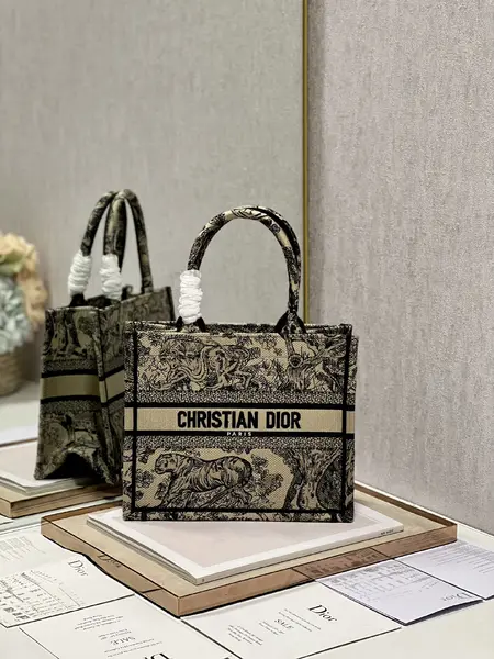 Small Dior Book Tote