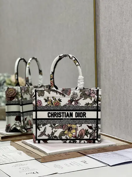 Small Dior Book Tote