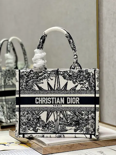 Small Dior Book Tote