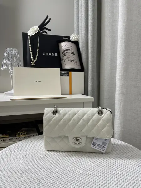 Chanle Small Classic Handbag Silver Hardware