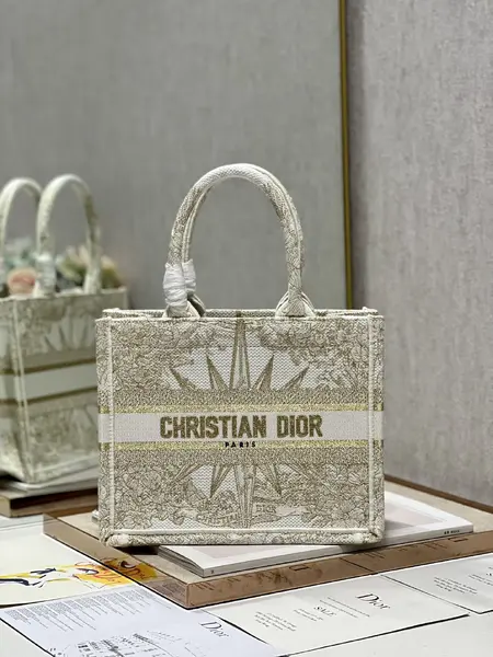 Small Dior Book Tote