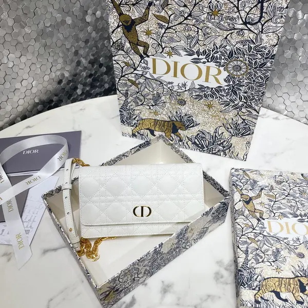 Dior Caro Pouch