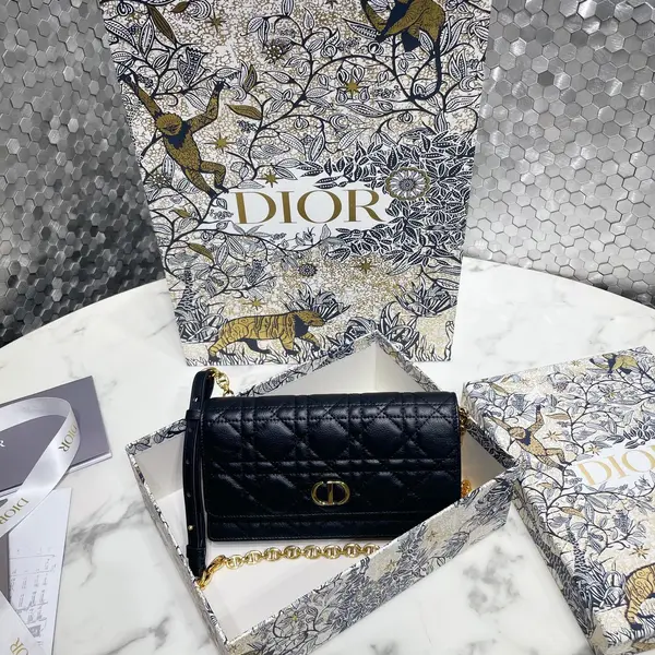 Dior Caro Pouch