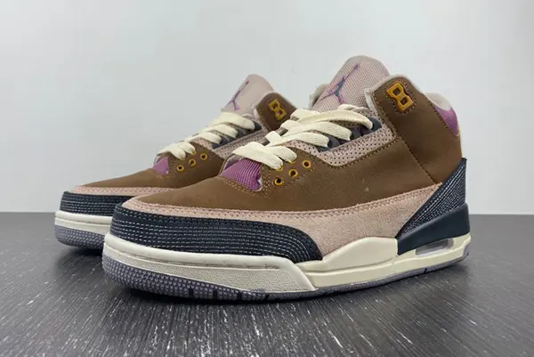 Air Jordan 3 Retro SE DR8869-200