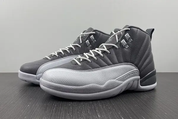 Air Jordan 12 STEALTH  CT8025-610