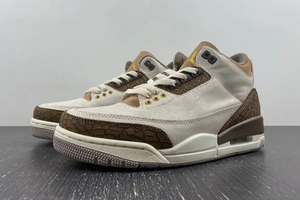 Air Jordan 3 “Palomino”  CT8532-102