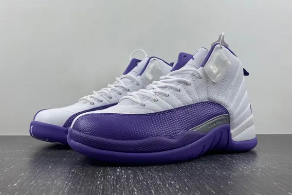 Nike Air Jordan 12  CT8013-150