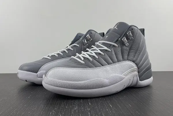 Air Jordan 12 STEALTH  CT8013-015