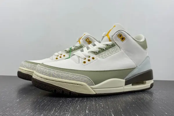 Air Jordan 3  DX6660-800