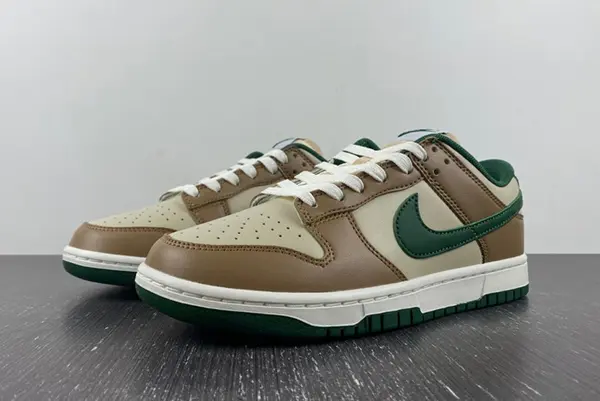 Nike Dunk Low Retro FB7160-231