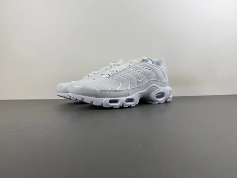 WMNS Air Max Plus“' TN DM2362-100