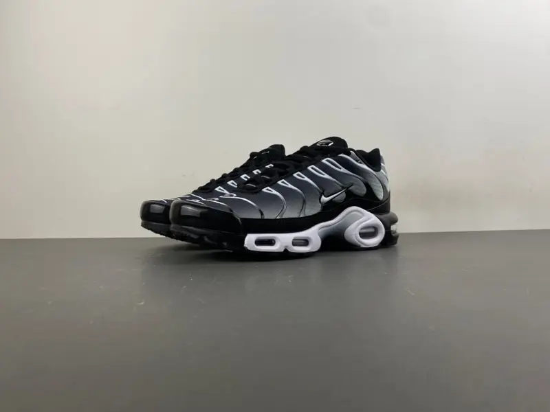 Air Max Plus TN DM0032-003
