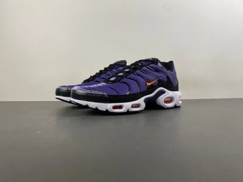 Nike Air Max Plus OG 'Voltage Purple' 2024 DX0755-500