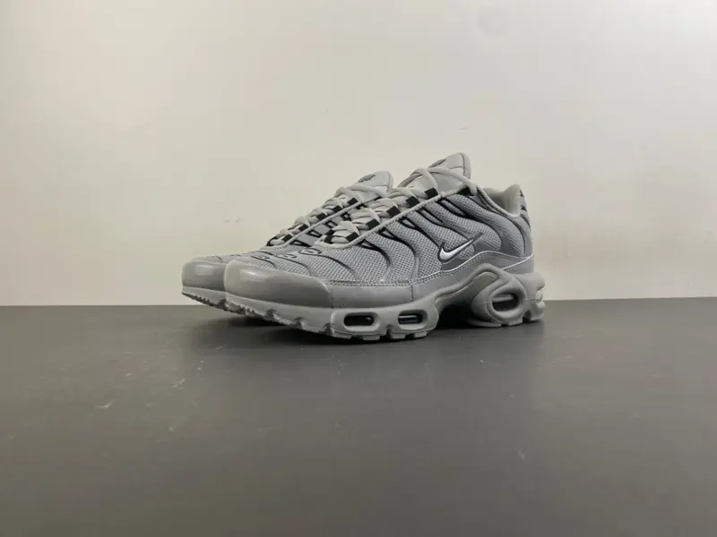 Nike Air Max Plus TN 'Wolf Grey TN 852630-021