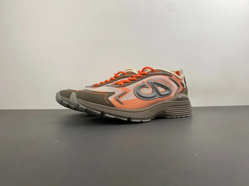 Christian Dior running shoes, brown and orange.