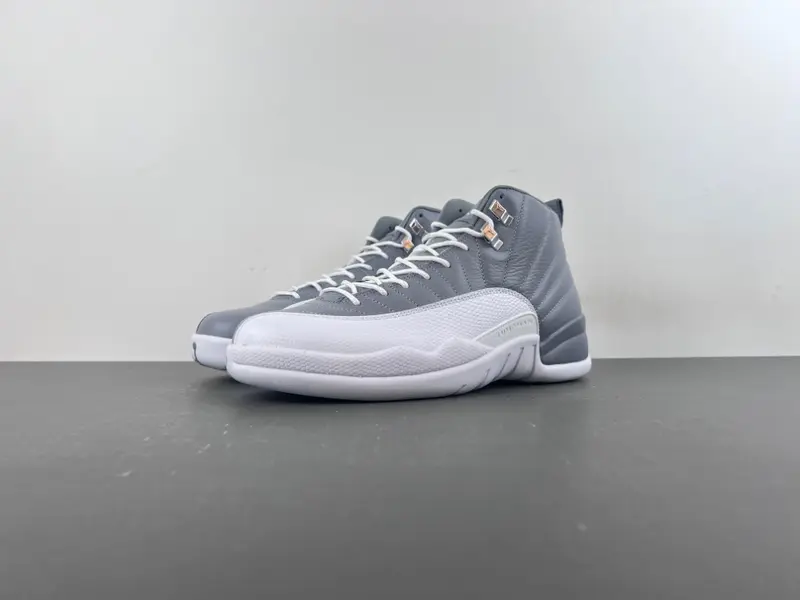 Air Jordan 12 STEALTH CT8013-015