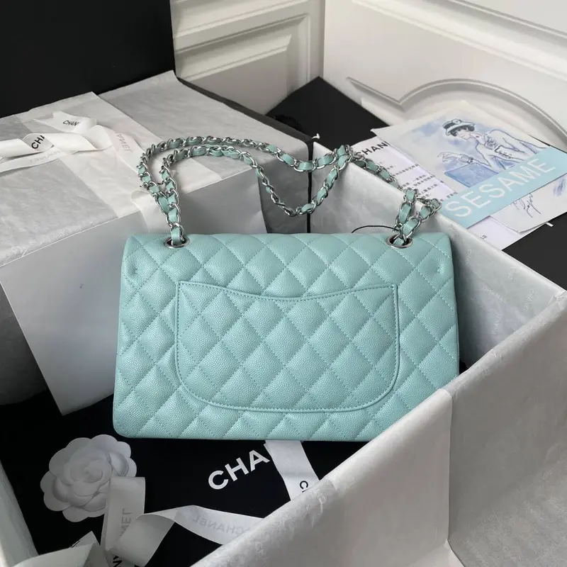 CH*ELClassic Flap Bag A01113, Top Quality, Medium Size: 23cm