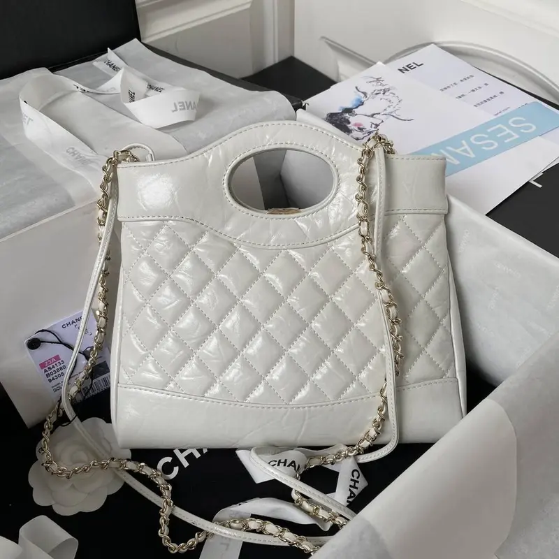 CH*EL23A mini 31 bag AS4133, top quality  Size: 22 * 23 * 5.5cm