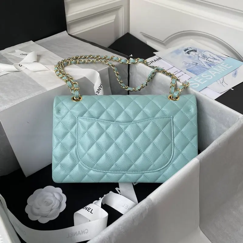 CH*ELClassic Flap Bag A01113, Top Quality, Medium Size: 23cm