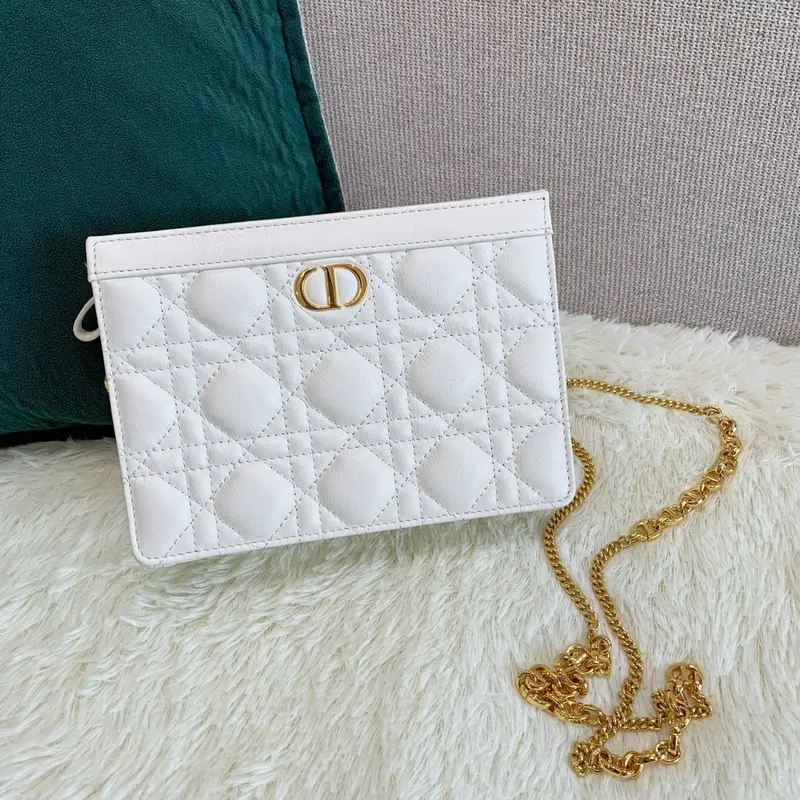 Dior Caro Zipped Pouch With Chain