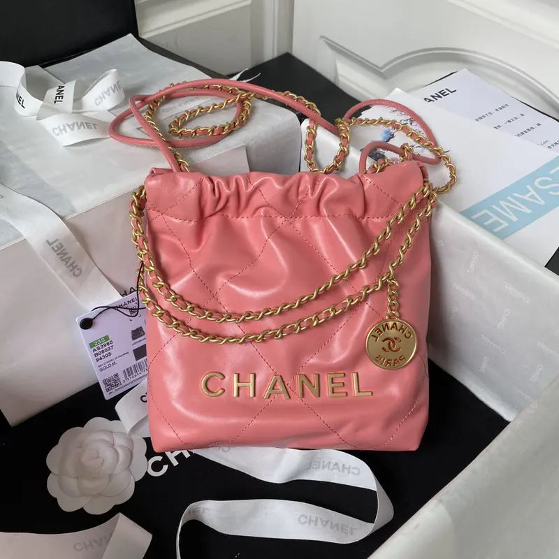 Chanle 22 Backpack Mini