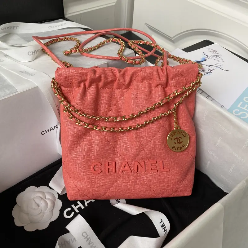 Chanle 22 Backpack Mini