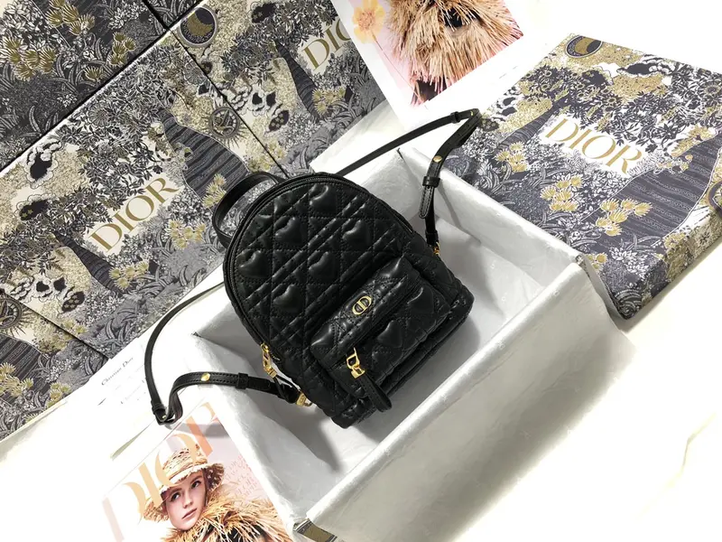 Dior Backpack