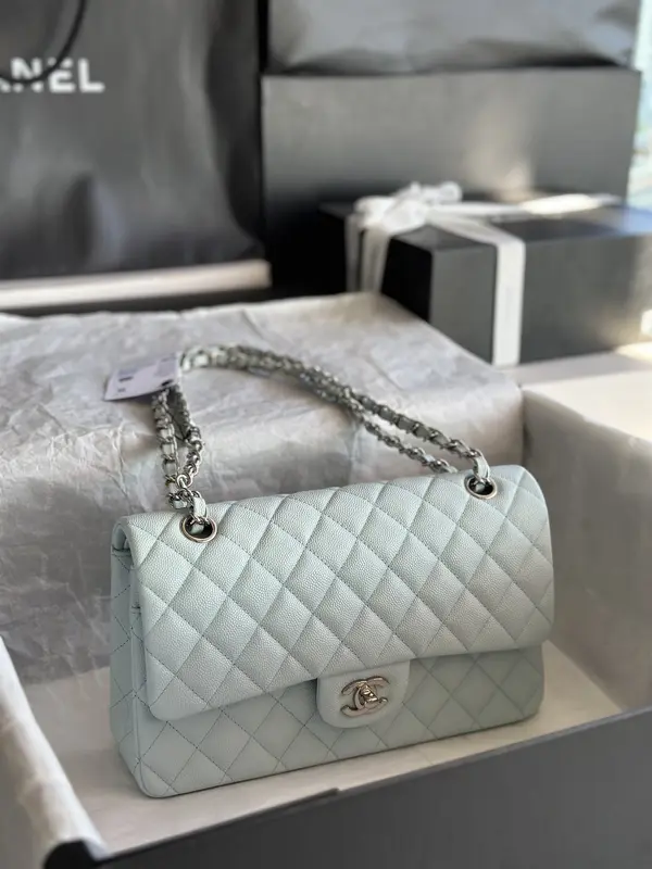 Chanle Classic Double Flap Silver Hardware
