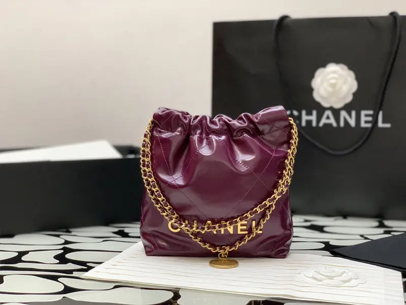 Chanle 22 Backpack Mini