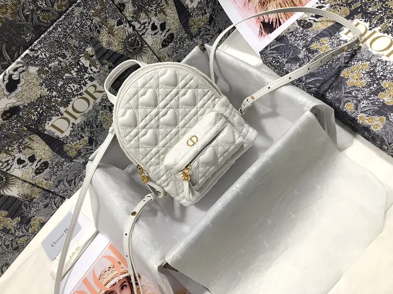 Dior Backpack