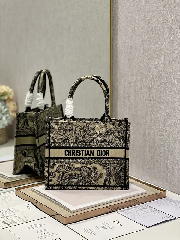 Small Dior Book Tote