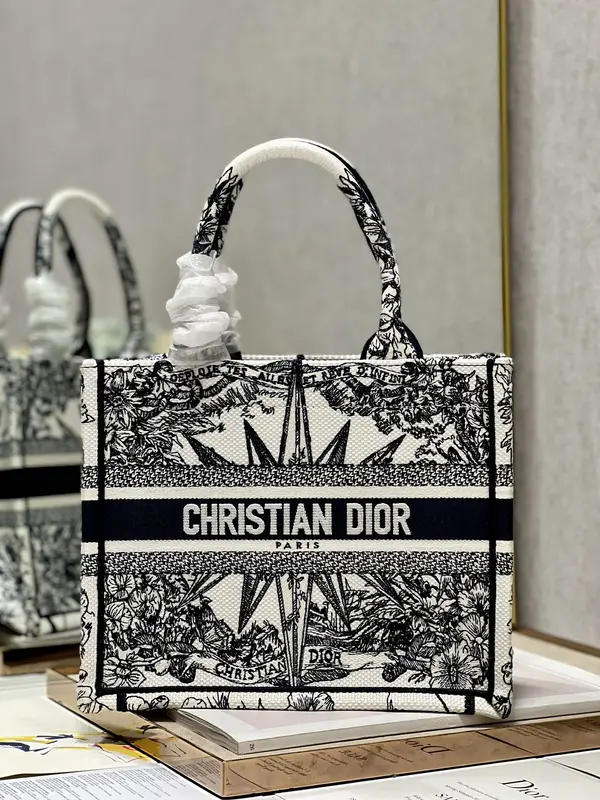 Small Dior Book Tote
