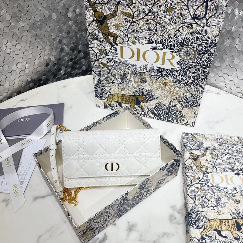 Dior Caro Pouch