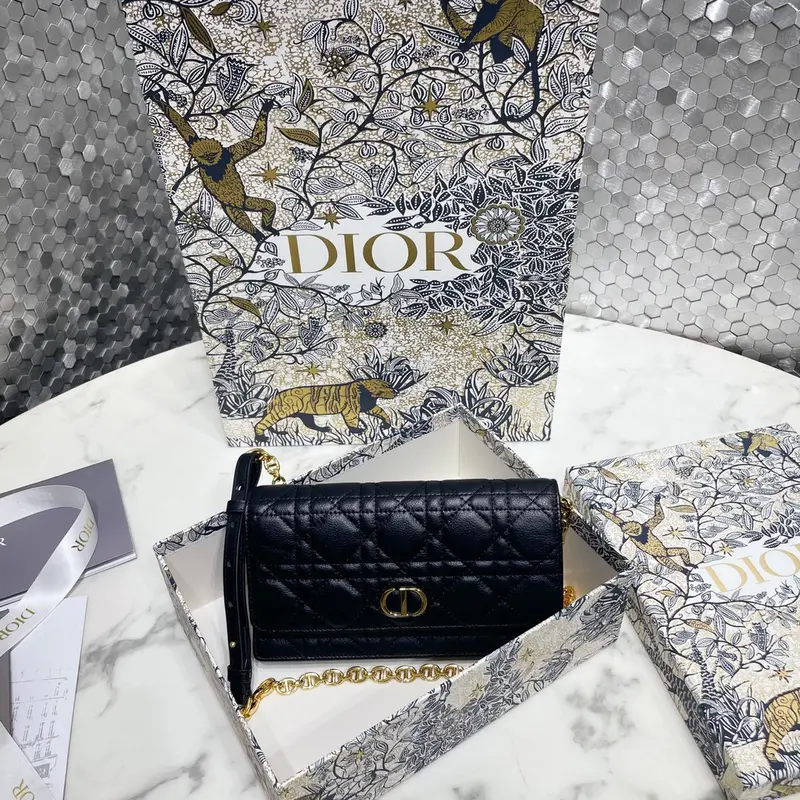 Dior Caro Pouch