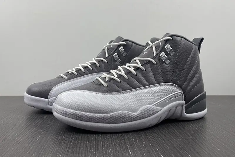 Air Jordan 12 STEALTH  CT8025-610