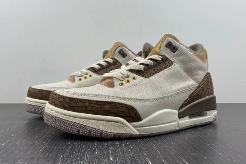 Air Jordan 3 “Palomino”  CT8532-102