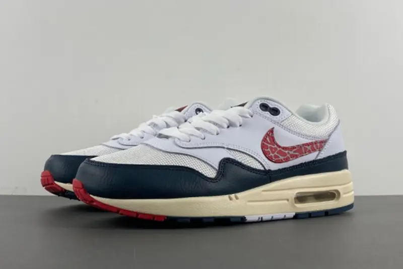 Nike Air Max 1 DH1348-146
